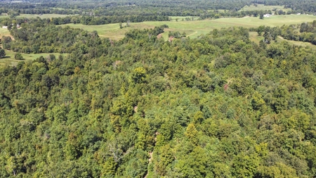 60 Acre South Central Missouri Farm With Auction Barn - image 25