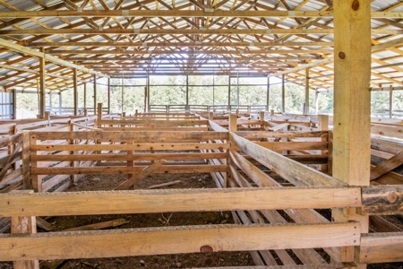 60 Acre South Central Missouri Farm With Auction Barn - image 19