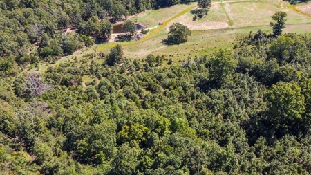 60 Acre South Central Missouri Farm With Auction Barn - image 23