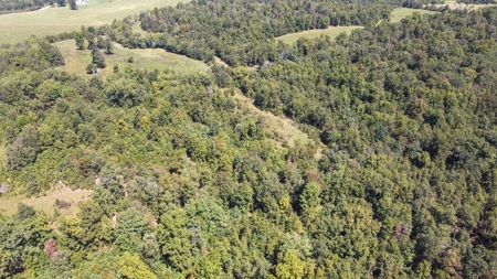 60 Acre South Central Missouri Farm With Auction Barn - image 30