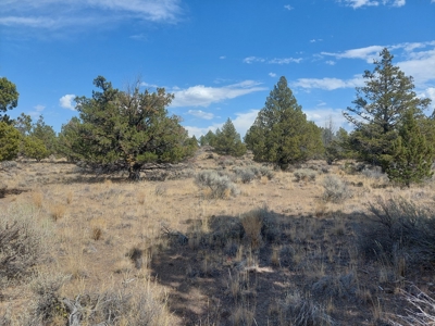 Rural Acreage/1 +/acre Paved Road & Electricity - image 5