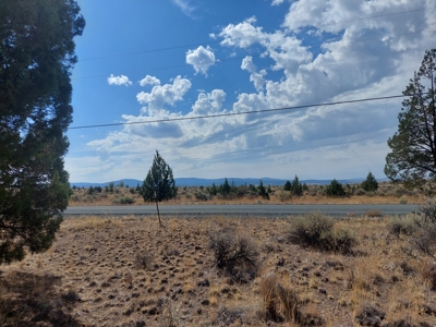 Rural Acreage/1 +/acre Paved Road & Electricity - image 8