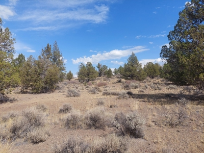 Rural Acreage/1 +/acre Paved Road & Electricity - image 6