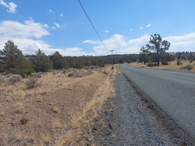 Rural Acreage/1 +/acre Paved Road & Electricity - image 4