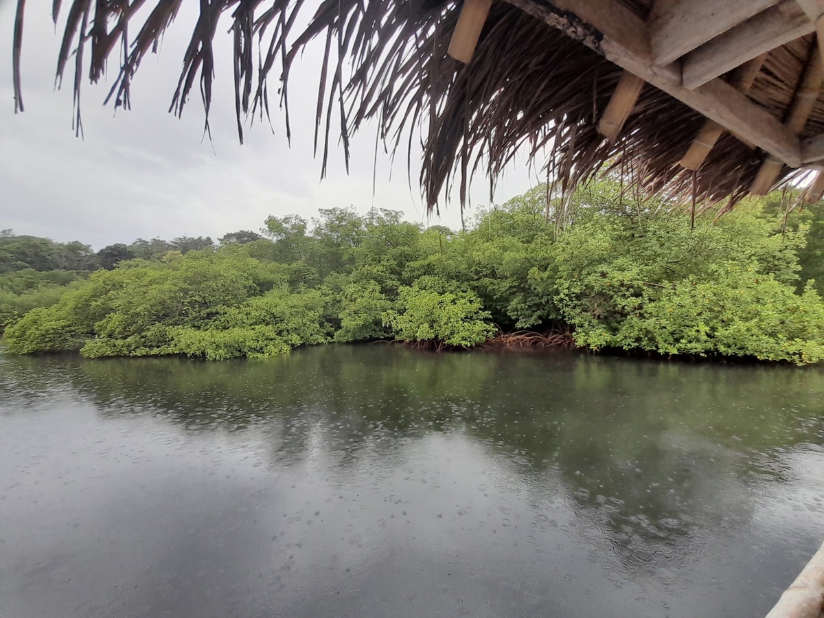 Waterfront Jungle Lot, 1+ Hectare — Big Bay, Isla Cristóbal - 22