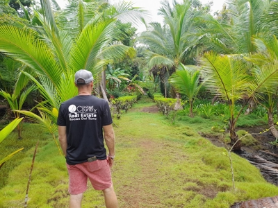 Jungle Lot for Sale, Bocas del Toro - image 9