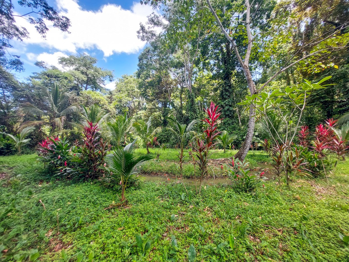 Waterfront Jungle Lot, 1+ Hectare — Big Bay, Isla Cristóbal - 9