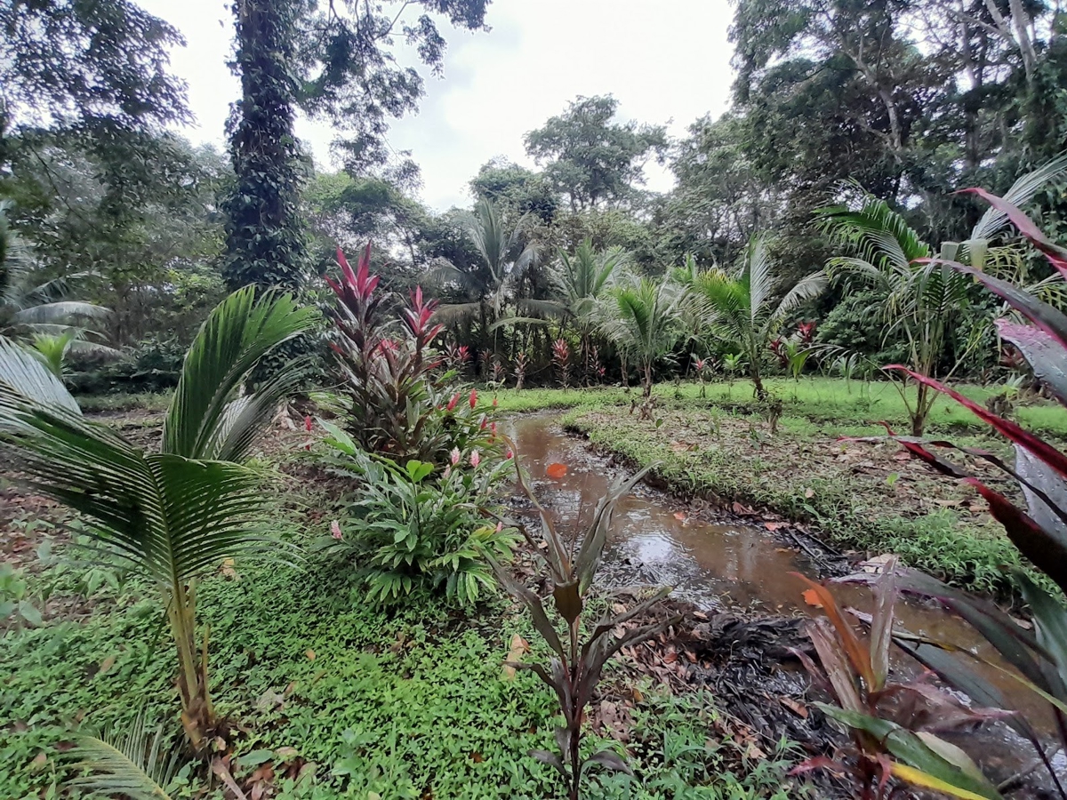 Waterfront Jungle Lot, 1+ Hectare — Big Bay, Isla Cristóbal - 19