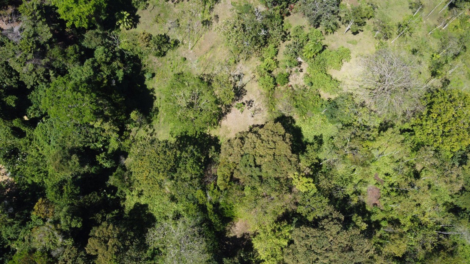 Waterfront Jungle Lot, 1+ Hectare — Big Bay, Isla Cristóbal - 7