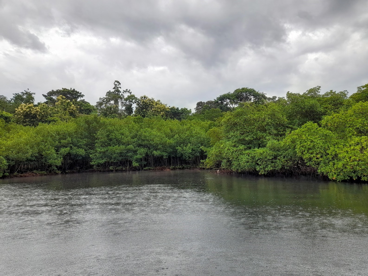 Waterfront Jungle Lot, 1+ Hectare — Big Bay, Isla Cristóbal - 23