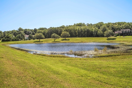 Rare Find Patio Home In West Plains, Mo - image 28