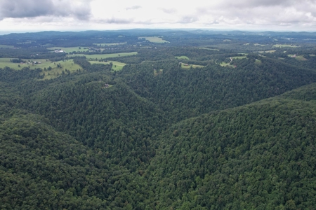 248.41 Acres of Land For Sale in Patrick County, Virginia - image 20