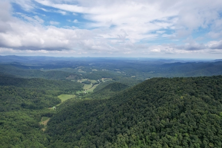 248.41 Acres of Land For Sale in Patrick County, Virginia - image 3