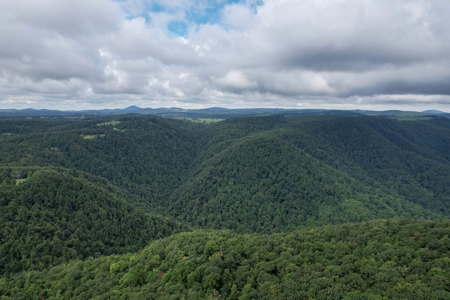 248.41 Acres of Land For Sale in Patrick County, Virginia - image 16