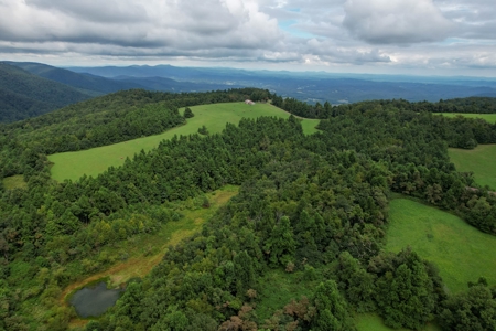 248.41 Acres of Land For Sale in Patrick County, Virginia - image 9