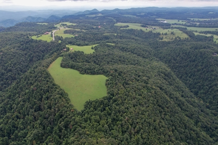 248.41 Acres of Land For Sale in Patrick County, Virginia - image 19