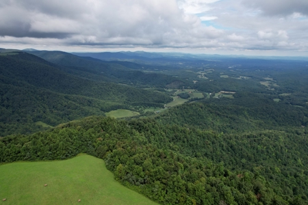 248.41 Acres of Land For Sale in Patrick County, Virginia - image 17