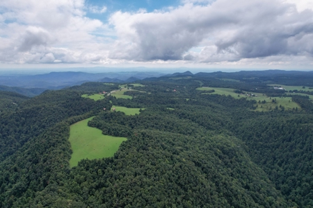 248.41 Acres of Land For Sale in Patrick County, Virginia - image 21