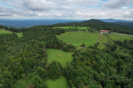 248.41 Acres of Land For Sale in Patrick County, Virginia - image 10