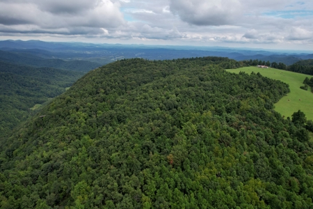 248.41 Acres of Land For Sale in Patrick County, Virginia - image 12