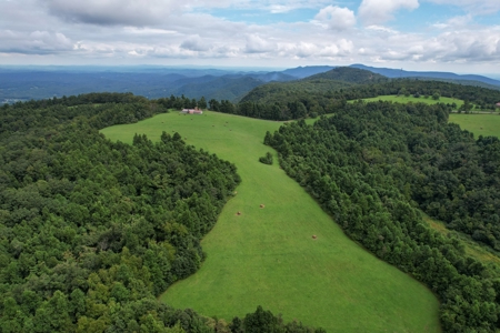 248.41 Acres of Land For Sale in Patrick County, Virginia - image 13