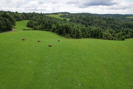 248.41 Acres of Land For Sale in Patrick County, Virginia - image 23