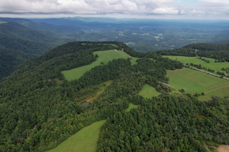 248.41 Acres of Land For Sale in Patrick County, Virginia - image 25