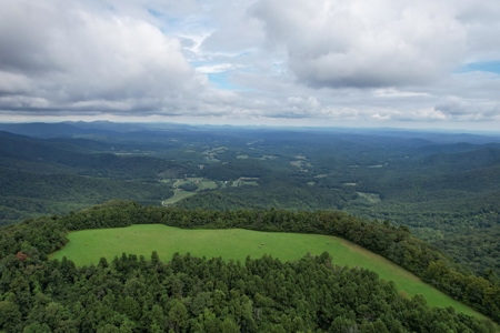 248.41 Acres of Land For Sale in Patrick County, Virginia - image 15