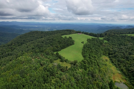 248.41 Acres of Land For Sale in Patrick County, Virginia - image 1