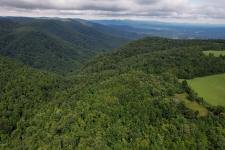 248.41 Acres of Land For Sale in Patrick County, Virginia - image 11