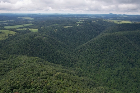 248.41 Acres of Land For Sale in Patrick County, Virginia - image 18
