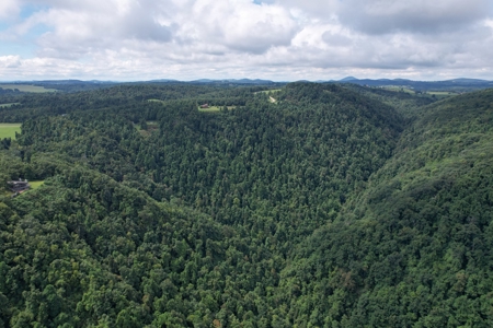248.41 Acres of Land For Sale in Patrick County, Virginia - image 4
