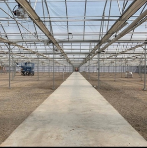 Irrigated agriculture property with large Greenhouses - image 3