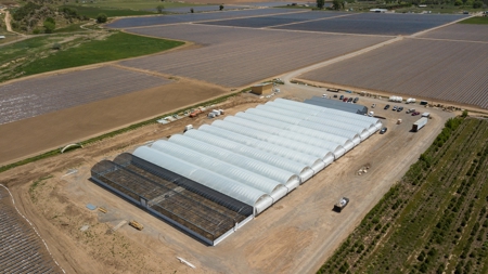 Irrigated agriculture property with large Greenhouses - image 6