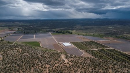Irrigated agriculture property with large Greenhouses - image 5