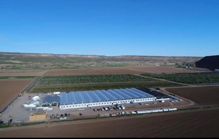 Irrigated agriculture property with large Greenhouses - image 8