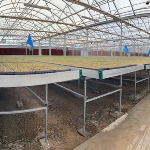 Irrigated agriculture property with large Greenhouses - image 12