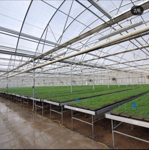 Irrigated agriculture property with large Greenhouses - image 11