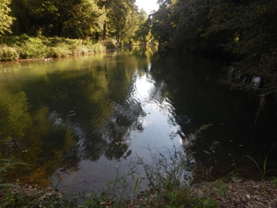 280 Ac. Farm Land In Tennessee, Hunting Land, With A Creek!! - image 29