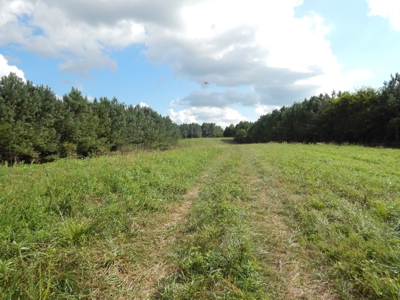 280 Ac. Farm Land In Tennessee, Hunting Land, With A Creek!! - image 5