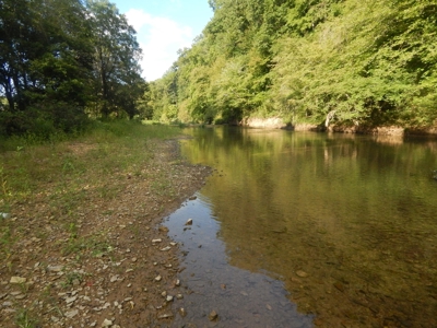 280 Ac. Farm Land In Tennessee, Hunting Land, With A Creek!! - image 34