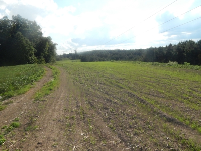 280 Ac. Farm Land In Tennessee, Hunting Land, With A Creek!! - image 20