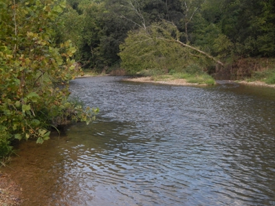 280 Ac. Farm Land In Tennessee, Hunting Land, With A Creek!! - image 30