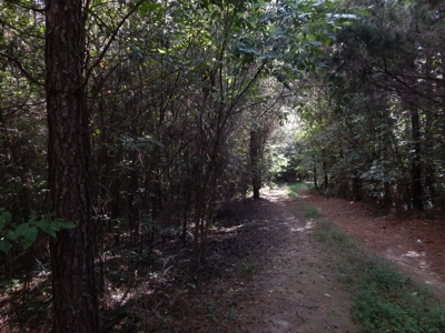 280 Ac. Farm Land In Tennessee, Hunting Land, With A Creek!! - image 41