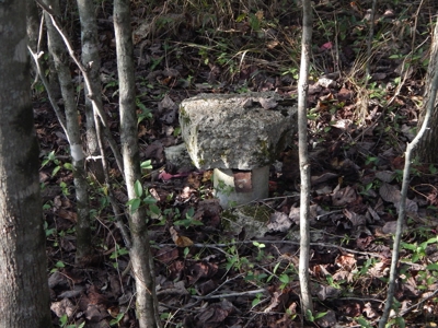 280 Ac. Farm Land In Tennessee, Hunting Land, With A Creek!! - image 43