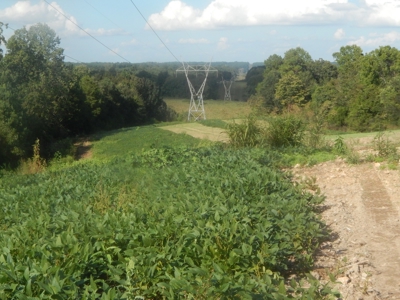 280 Ac. Farm Land In Tennessee, Hunting Land, With A Creek!! - image 22