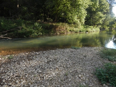 280 Ac. Farm Land In Tennessee, Hunting Land, With A Creek!! - image 28