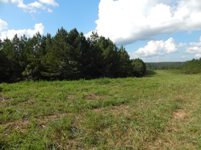 280 Ac. Farm Land In Tennessee, Hunting Land, With A Creek!! - image 2