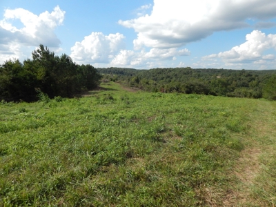 280 Ac. Farm Land In Tennessee, Hunting Land, With A Creek!! - image 3