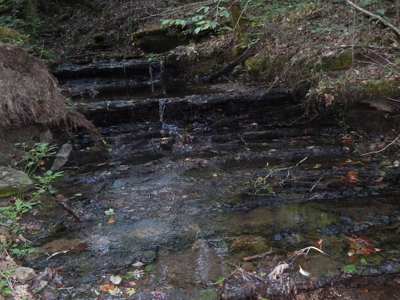280 Ac. Farm Land In Tennessee, Hunting Land, With A Creek!! - image 16
